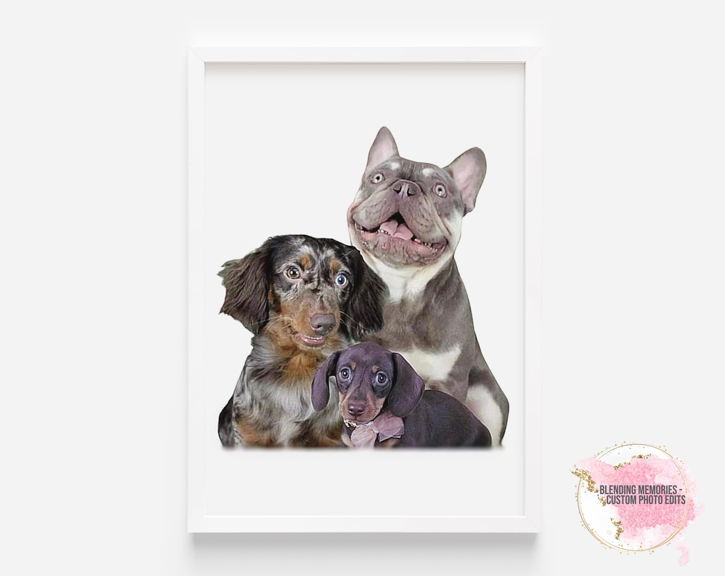 Pet Edit - Digital Copy Only