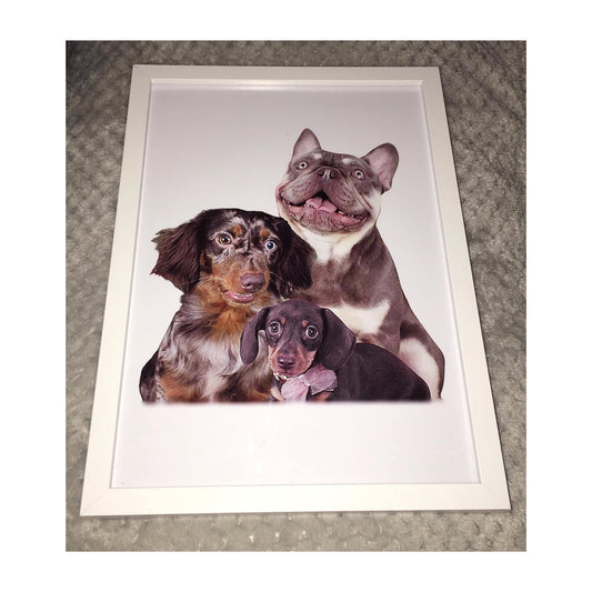 Pet Edit - A4 Print & Framed